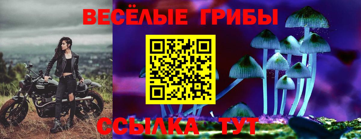 Зеленогорск  Галлюциногенные грибы Psilocybine cubensis  Галлюциногенные грибы мухоморы  купить закладку  Вход с VPN 